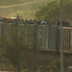 Train with migrants on the roof heads North (photo by Marc Silver)