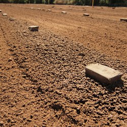 Those unidentified are buried in the U.S. (photo by Marc Silver)