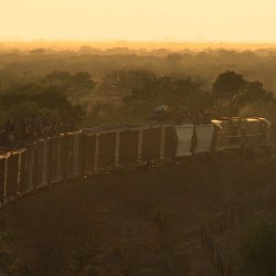 Train with migrants on the roof heads into the sunset (photo by Marc Silver)
