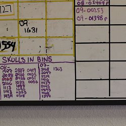 Identification numbers of skulls found in the desert (photo by Marc Silver)