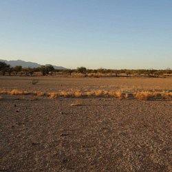 Empty desert floor (photo by Marc Silver)