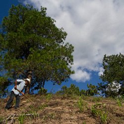 Farmer working the land, El Escanito, Honduras (photo by Marc Silver)