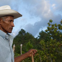 Farmer looking over his land, El Escanito, Honduras (photo by Marc Silver)