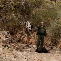 Recovering a body from the desert (photo by Marc Silver)